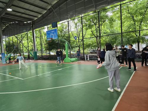 2026年匹克球比赛